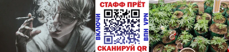 Марихуана Стародуб